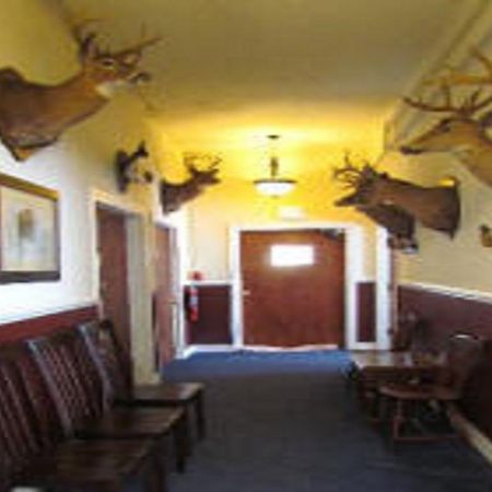 Narrows Macarthur Inn מראה חיצוני תמונה