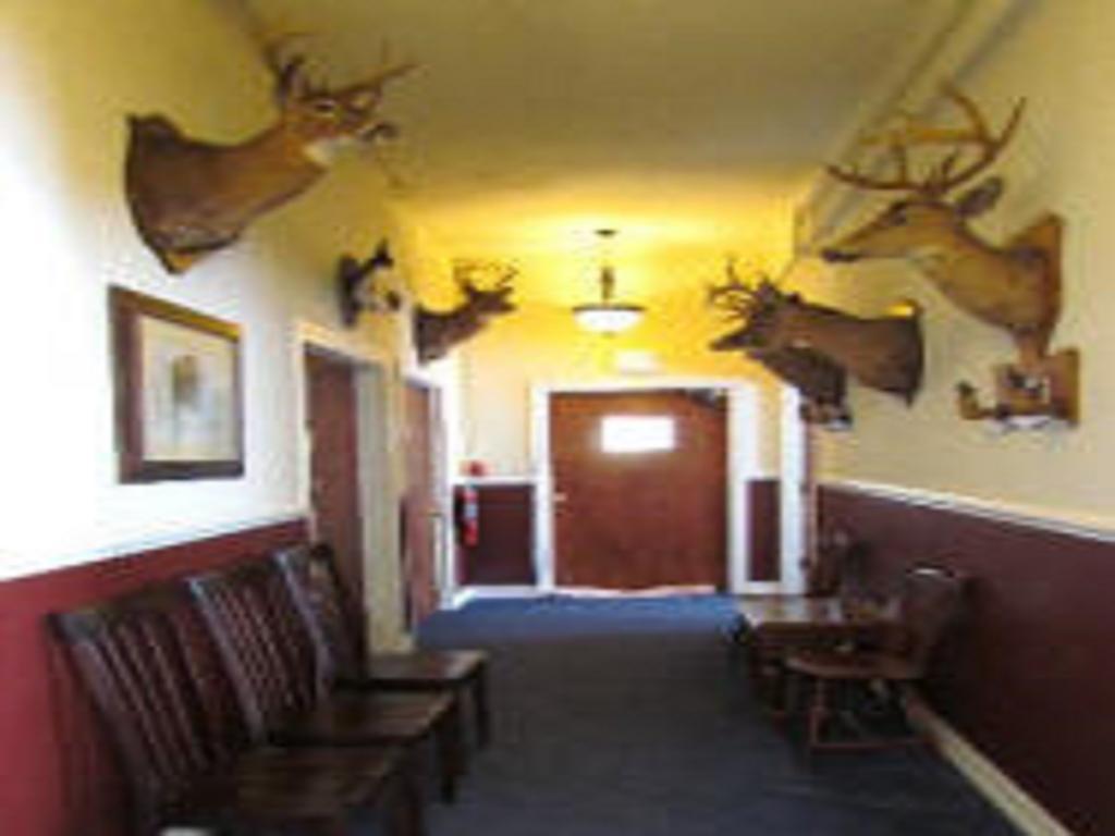 Narrows Macarthur Inn מראה חיצוני תמונה