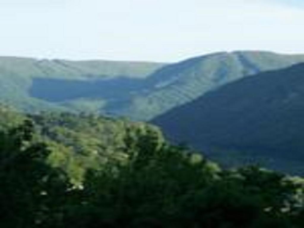 Narrows Macarthur Inn חדר תמונה