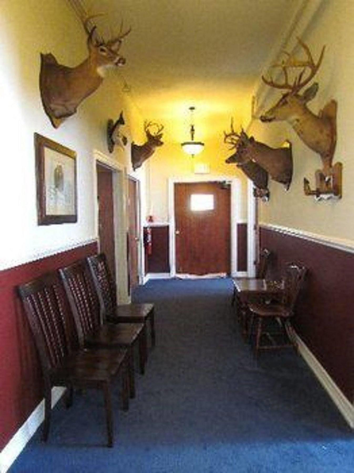 Narrows Macarthur Inn מראה חיצוני תמונה